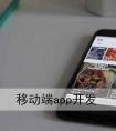 APP開發(fā)公司：品牌企業(yè)開發(fā)的APP軟件